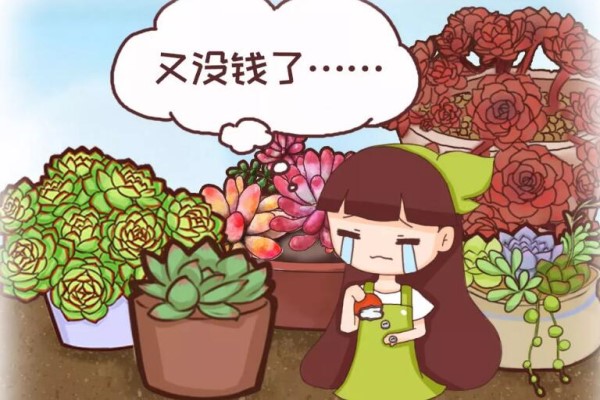 养花人的7个“坏毛病”,快看你中了几个? 养花人的7个“坏毛病”,快看你中了几个?