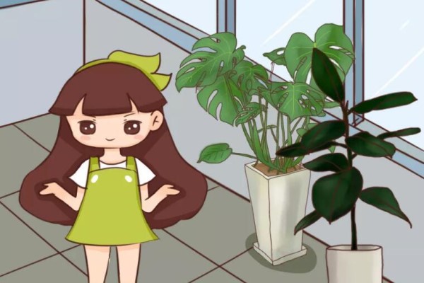 在家当宝的花,大马路上全都是,你却高价买回家! 在家当宝的花,大马路上全都是,你却高价买回家!