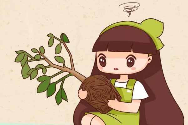 花盆里出现这东西,赶紧换土,不然一浇水就烂根! 花盆里出现这东西,赶紧换土,不然一浇水就烂根!