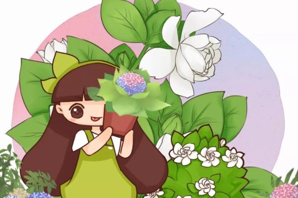 这花冬天不要剪,剪完活不了! 这花冬天不要剪,剪完活不了!