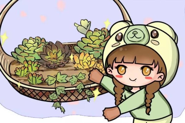 家里的菜篮子别扔,拿来养花,大有用处! 家里的菜篮子别扔,拿来养花,大有用处!