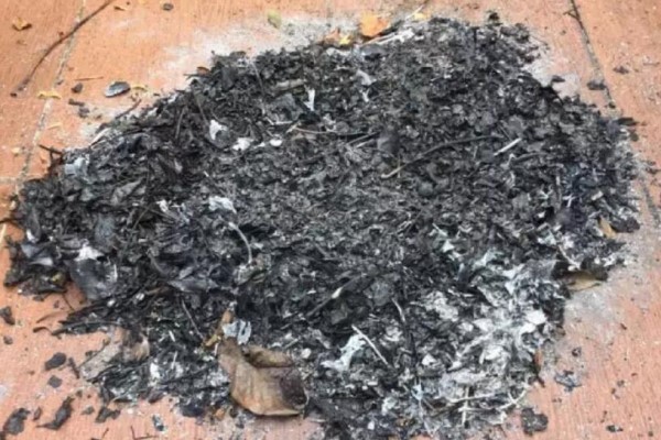 给花喂点抗冻肥,叶子又肥又绿,越长越有劲儿! 给花喂点抗冻肥,叶子又肥又绿,越长越有劲儿!
