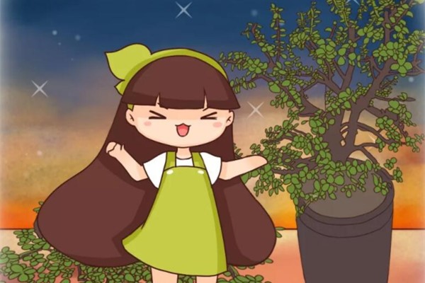 农村的马齿苋,变异后成2米老桩,身价翻了1000倍! 农村的马齿苋,变异后成2米老桩,身价翻了1000倍!
