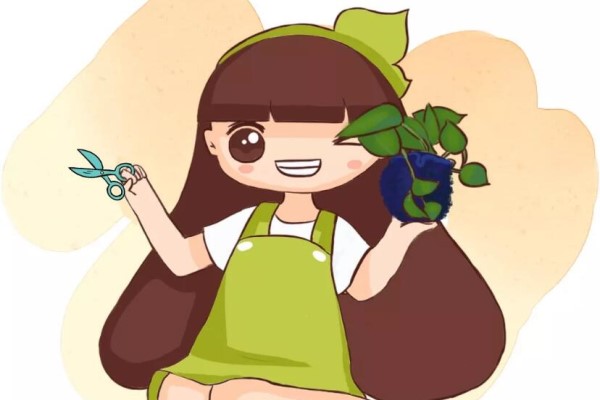 比绿萝好养的花,掐根枝就能活,1年能生50盆! 比绿萝好养的花,掐根枝就能活,1年能生50盆!
