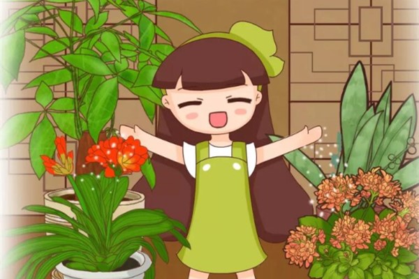 给花上点抗冻肥,冬天冻不死,还能提前开花! 给花上点抗冻肥,冬天冻不死,还能提前开花!