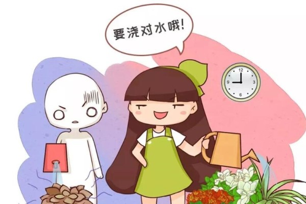 秋冬给花浇水,记住3句话,养活1000盆花! 秋冬给花浇水,记住3句话,养活1000盆花!