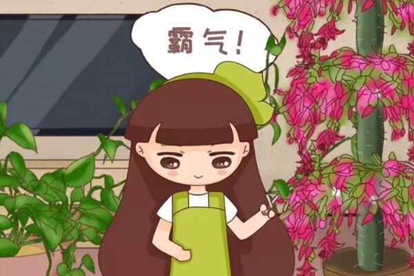 客厅养盆它,开花直冲房顶,谁看了都眼红,太气派了! 客厅养盆它,开花直冲房顶,谁看了都眼红,太气派了!