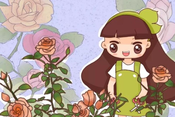 最难扦插的花,蘸点它插土里,20天白根蹭蹭冒! 最难扦插的花,蘸点它插土里,20天白根蹭蹭冒!