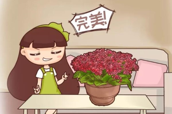 6个小窍门,养活1000盆花! 6个小窍门,养活1000盆花!