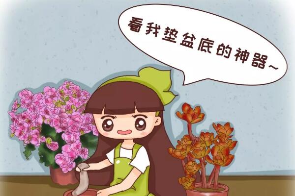 花盆里垫点它,浇点水就疯长,大白根挤满盆! 花盆里垫点它,浇点水就疯长,大白根挤满盆!