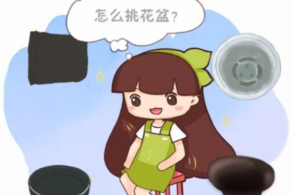 在家养花,千万不能用这盆,容易把花养死! 在家养花,千万不能用这盆,容易把花养死!