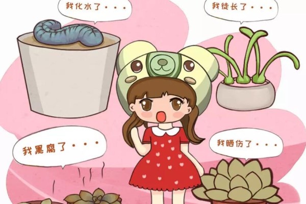 多肉届的比惨大会,你来猜猜谁能赢? 多肉届的比惨大会,你来猜猜谁能赢?