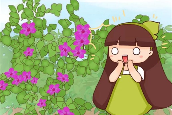 不用扦插的5种花,扔土里呼呼冒一片,1盆能养出100盆! 不用扦插的5种花,扔土里呼呼冒一片,1盆能养出100盆!