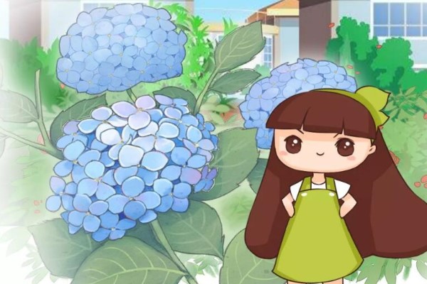 这花就要种在大门口,霸气上档次,天再热都死不了! 这花就要种在大门口,霸气上档次,天再热都死不了!
