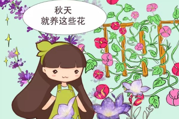 入秋就养这10种花,一开200天,-10度冻不死! 入秋就养这10种花,一开200天,-10度冻不死!