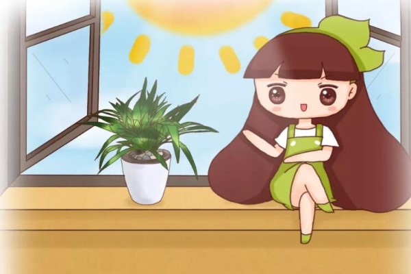三伏后还有秋老虎,6种花不能乱晒,小心黄叶全死翘! 三伏后还有秋老虎,6种花不能乱晒,小心黄叶全死翘!