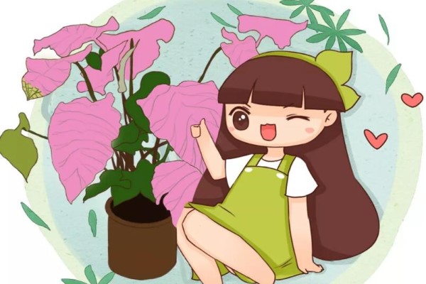 别养绿萝了,这20种耐阴花,养家里才气派! 别养绿萝了,这20种耐阴花,养家里才气派!