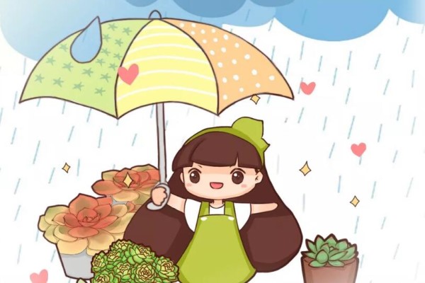 6种花太娇气,一淋雨就生病,治不好还传染! 6种花太娇气,一淋雨就生病,治不好还传染!