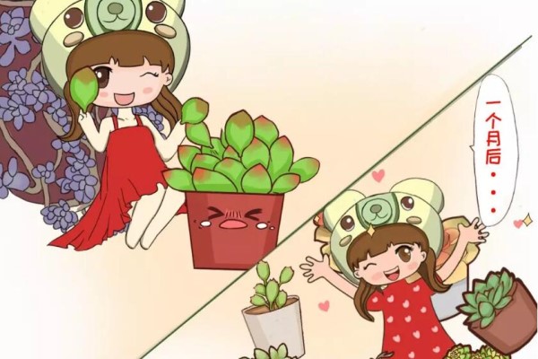 这8种多肉,现在扦插,插啥活啥,1个月就爆盆! 这8种多肉,现在扦插,插啥活啥,1个月就爆盆!