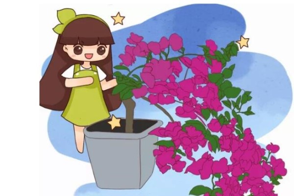 丑得想扔的花,被他剪成传家宝,全国花友跟着学! 丑得想扔的花,被他剪成传家宝,全国花友跟着学!