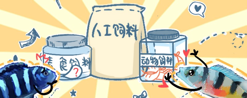 三湖慈鲷喂什么饲料好,喂食技巧介绍 三湖慈鲷喂什么饲料好,喂食技巧介绍