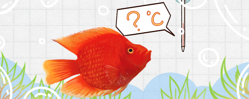 财神鱼是热带鱼吗，水温多少最合适