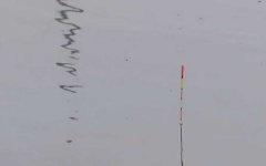野钓漂相大全及提竿时机