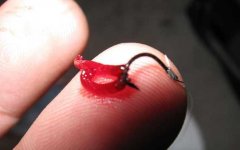 秋季钓鱼用红虫还是蚯蚓？