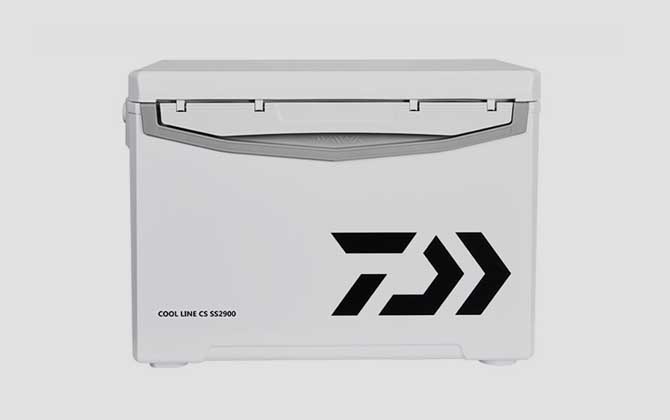 Cool Nice CS SS2900