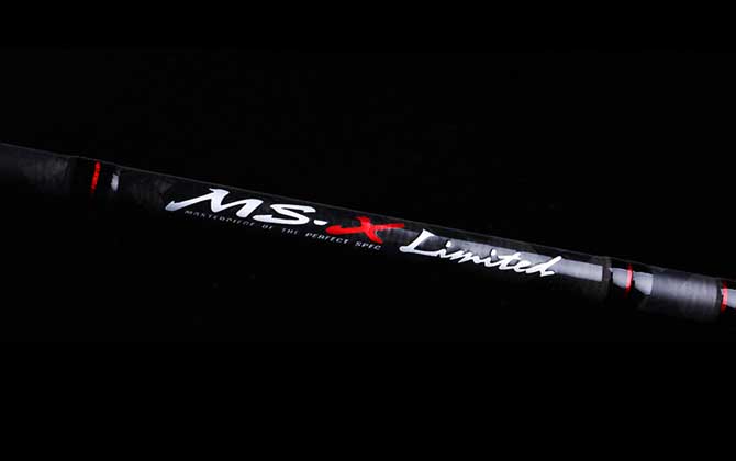 MS-X