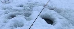 冰钓用什么鱼竿好？