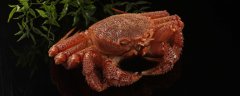 红毛蟹是什么动物？