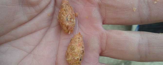 搓饵