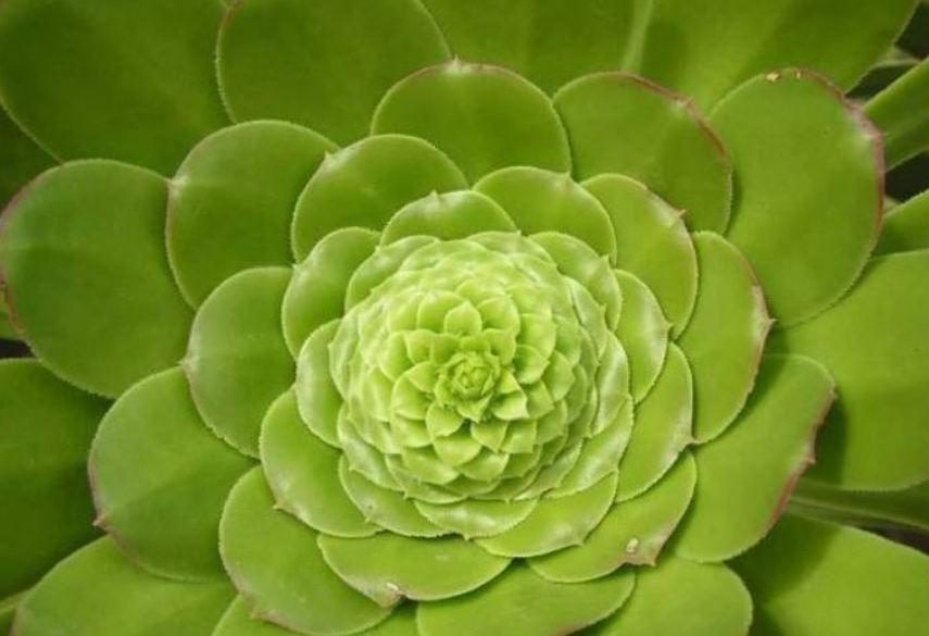 明镜 明镜
