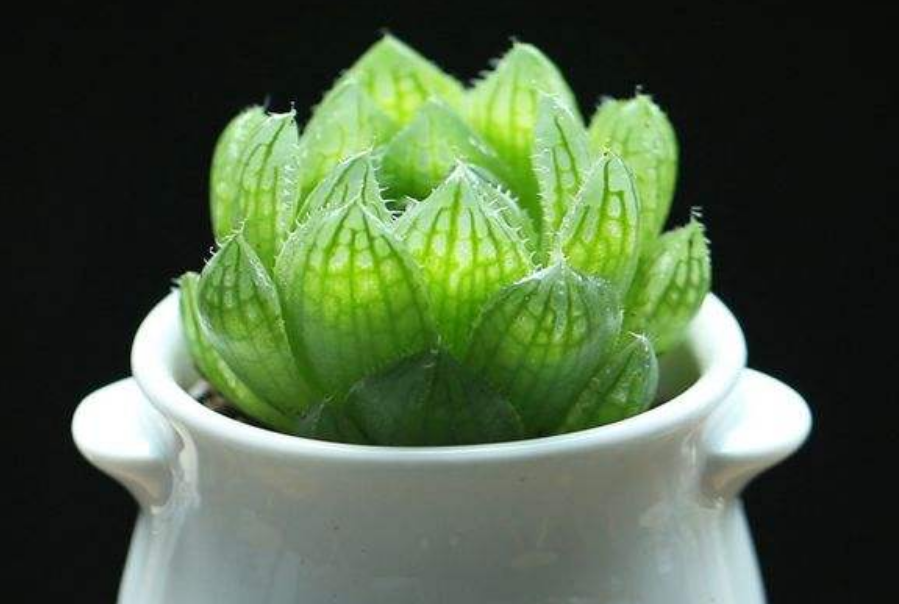 樱水晶 樱水晶