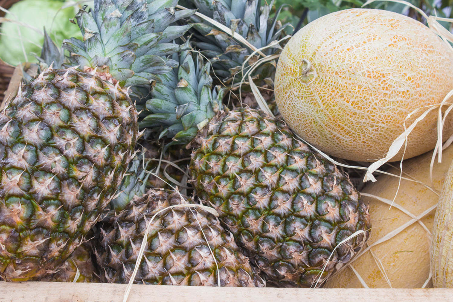 菠萝 菠萝
