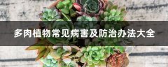 多肉植物常见病害及防治办法大全