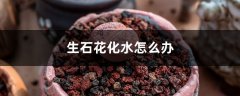 生石花化水怎么办