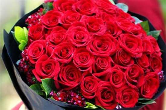 红玫瑰花语：我爱你 热烈