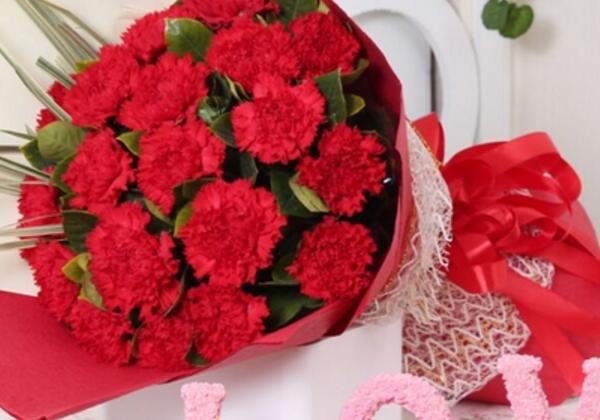 11朵康乃馨花语含义，11朵红色康乃馨的花语(热烈的爱)_花语大全