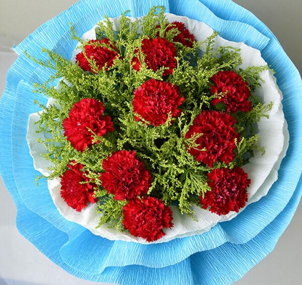 11朵康乃馨花语含义,11朵红色康乃馨的花语(热烈的爱)_花语大全