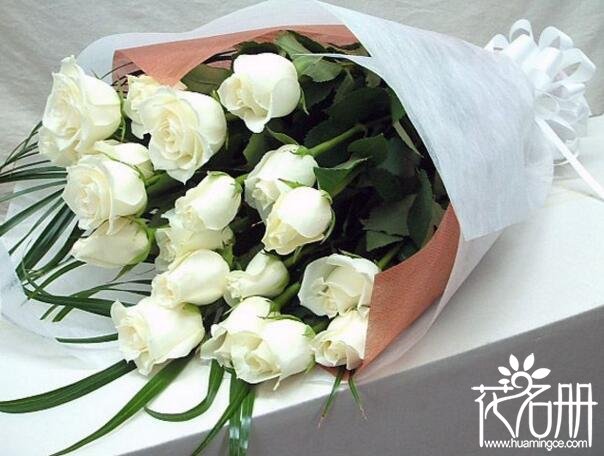33朵白玫瑰花语，三生三世甘愿为你倾尽所有_花语大全