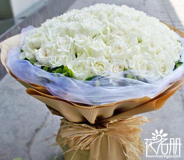 33朵白玫瑰花语,三生三世甘愿为你倾尽所有_花语大全
