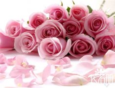 16朵粉玫瑰花语是什么，永不分离_花语大全