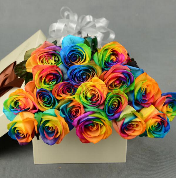 彩虹玫瑰花语,愿你幸福_花语大全
