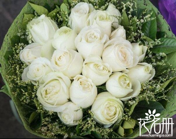 21朵白玫瑰的花语是什么，纯洁真挚的爱_花语大全