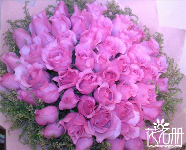 30朵玫瑰花语是什么，信是有缘_花语大全