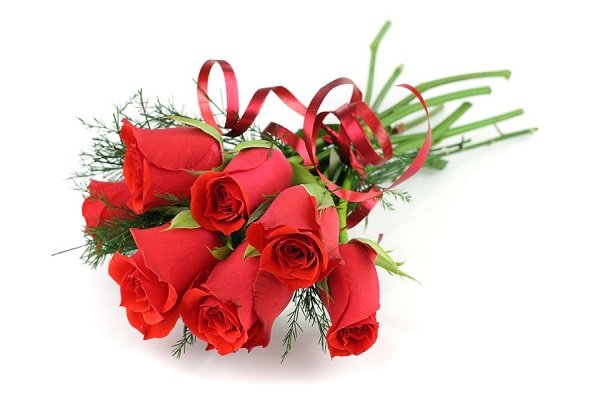 11朵红玫瑰花语是什么,一心一意的爱_花语大全