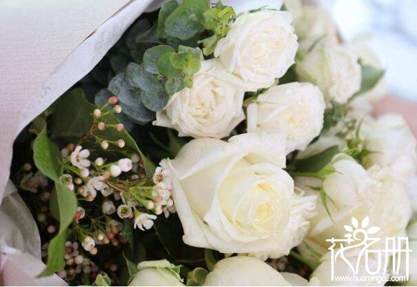 9朵白玫瑰的花语是什么,爱你如初_花语大全