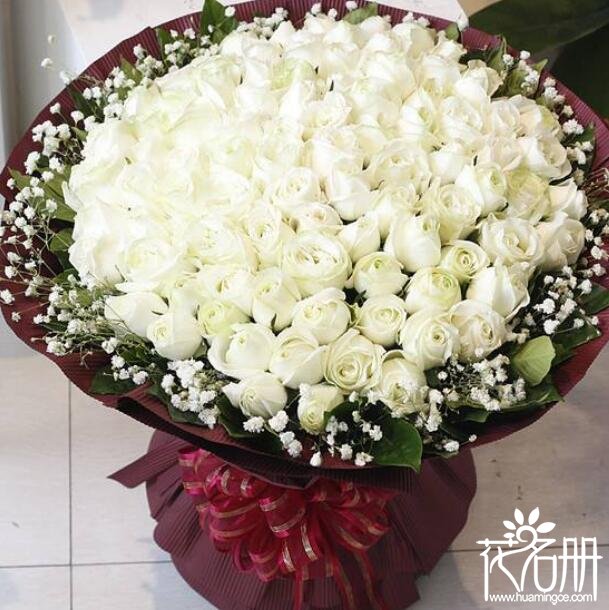 66朵白玫瑰花语,细水长流我的爱永不变_花语大全